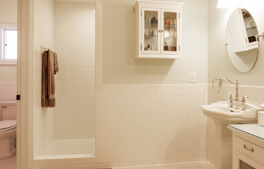 Main Bathroom + Walk-in Shower