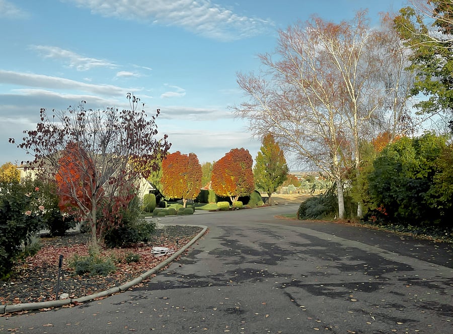 Furnished Finder property 693219_1 photo 21