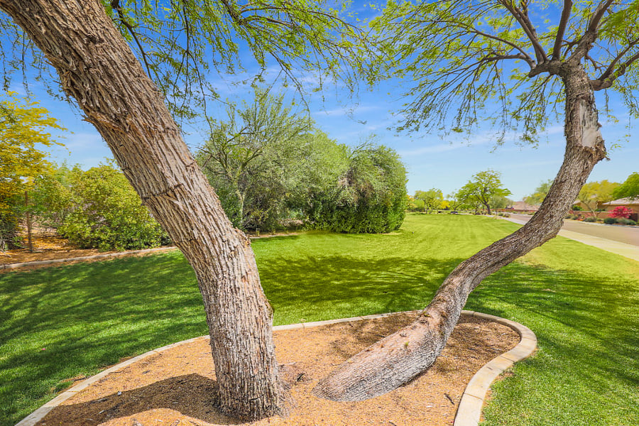 Furnished Finder property 693264_1 photo 9