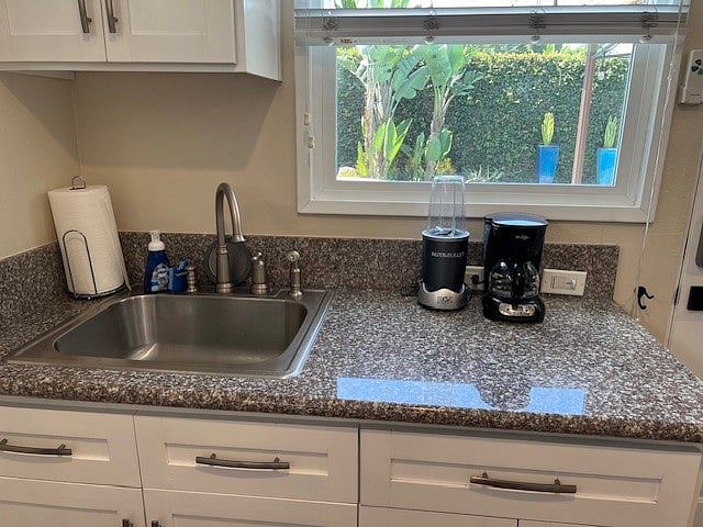 Kitchen Stainless Steel Sink with small appliances