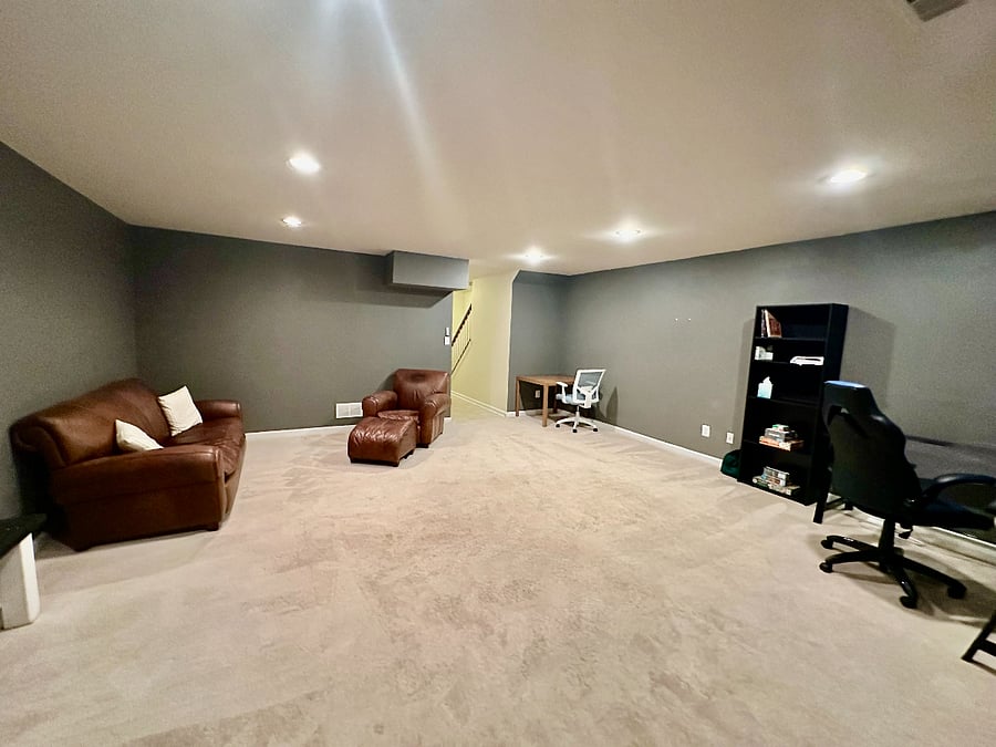 Downstairs Media/Office