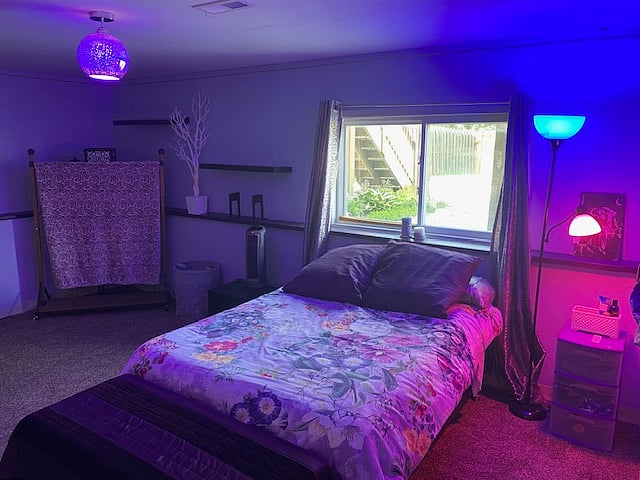 Basement access only to guests renting the whole house.