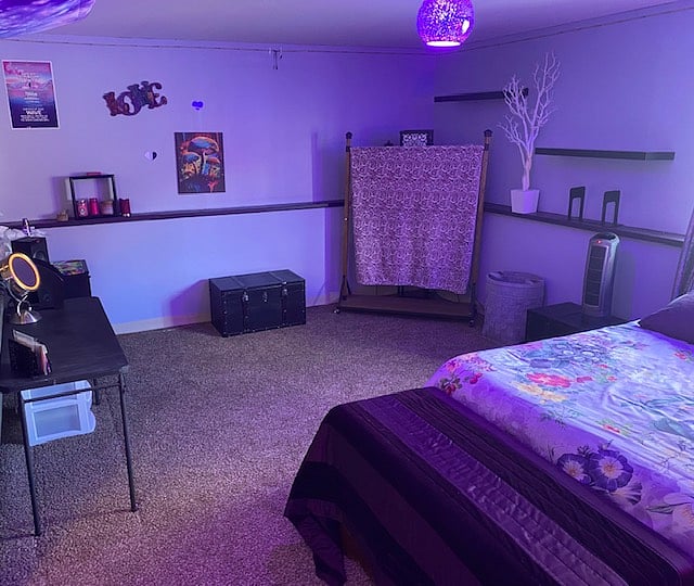 Basement access only to guests renting the whole house.