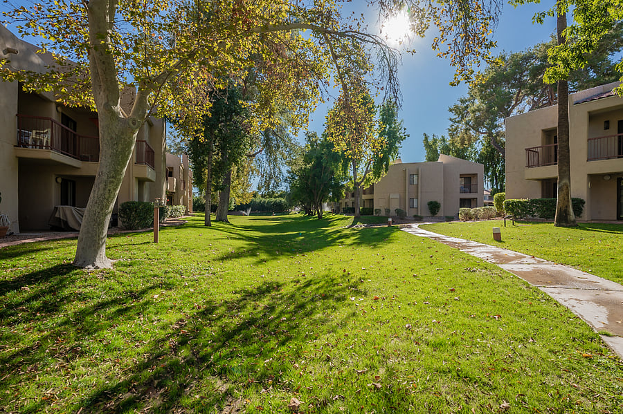 Walking paths around the community