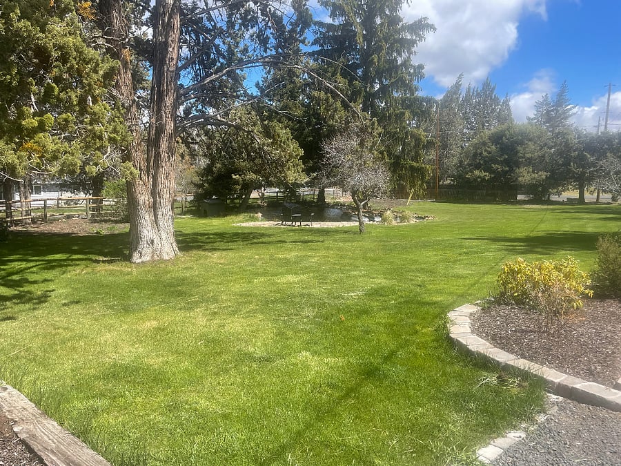 Access to Patio by Pond