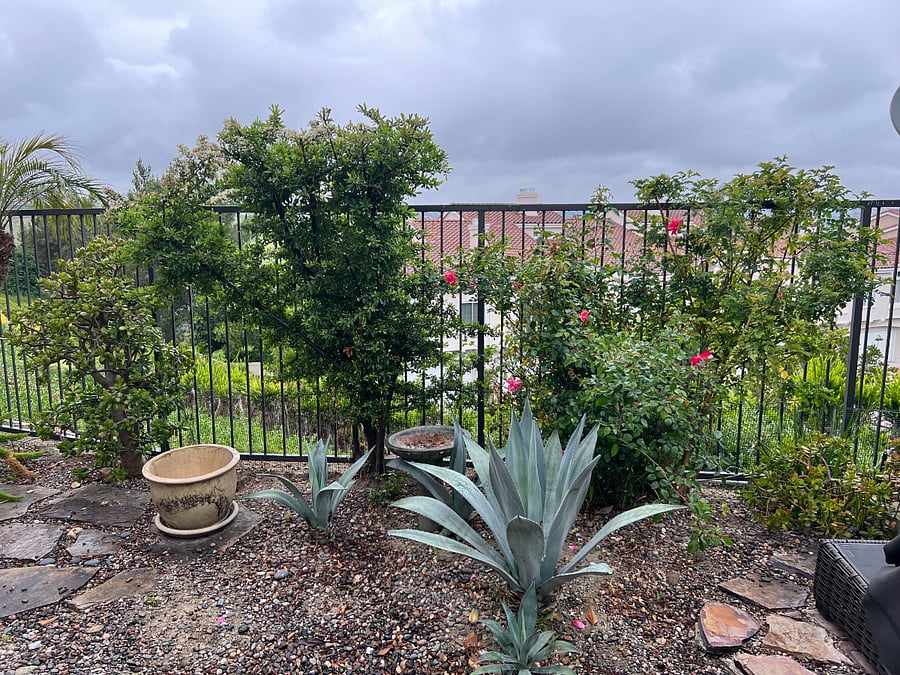 Furnished Finder property 693967_1 photo 26
