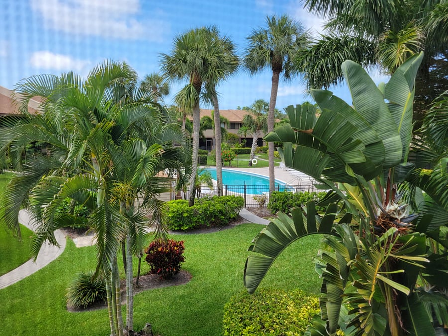 View from lanai