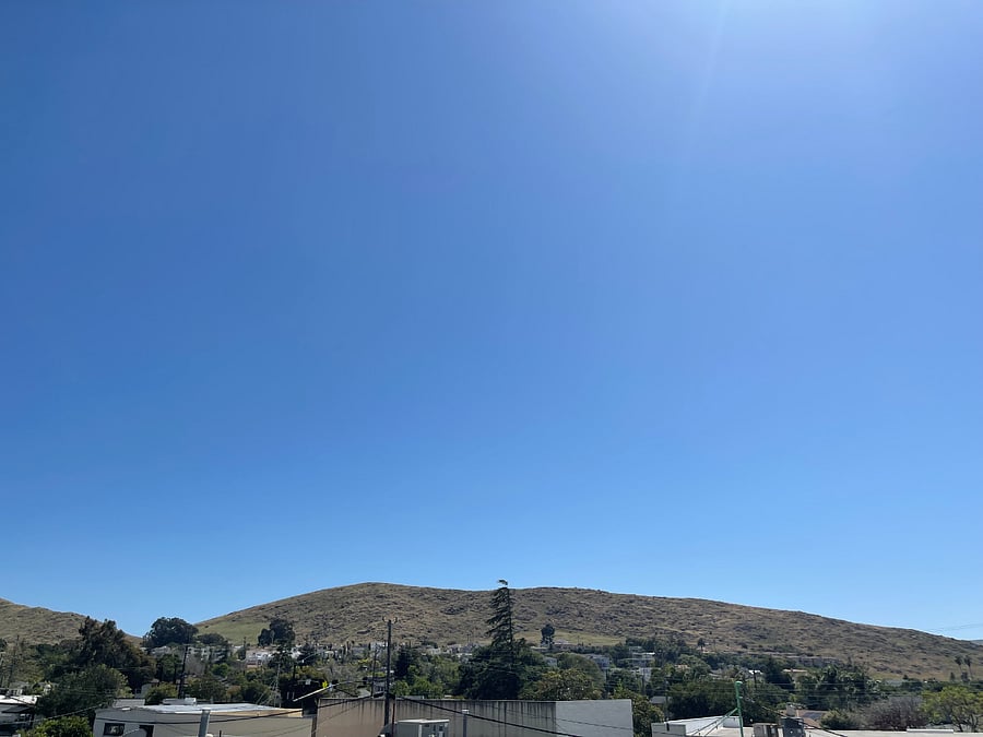 View from patio