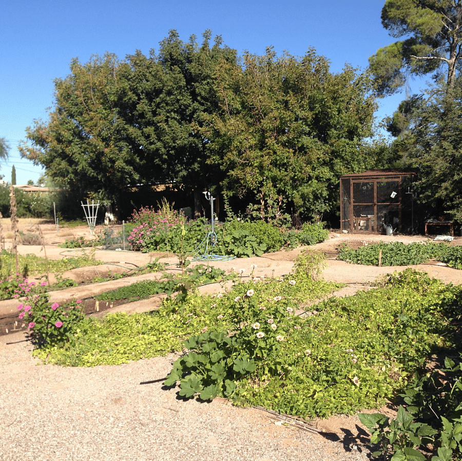 Join our community garden, located just steps away from your doorstep! Whether you're a seasoned gardener or a beginner, this space offers a great opportunity to grow your own fresh fruits, vegetables and flowers while connecting with neighbors.