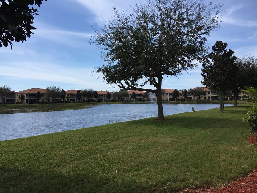 Furnished Finder property 694563_1 photo 49