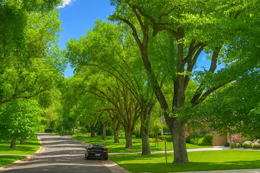 Woodlake Neighborhood 3