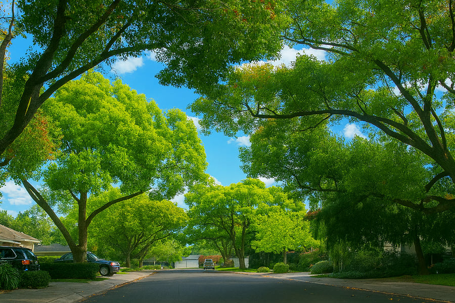 Woodlake Neighborhood 4