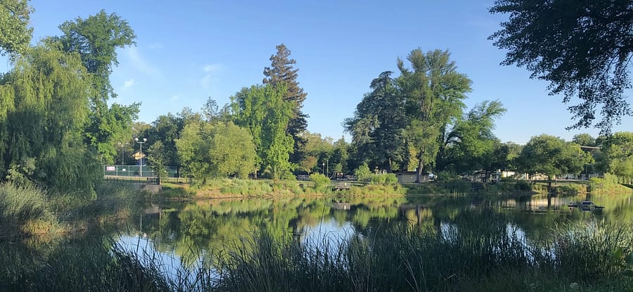 Woodlake Neighborhood 5