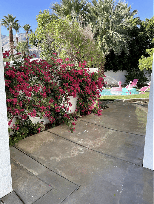 Furnished Finder property 694601_1 photo 31