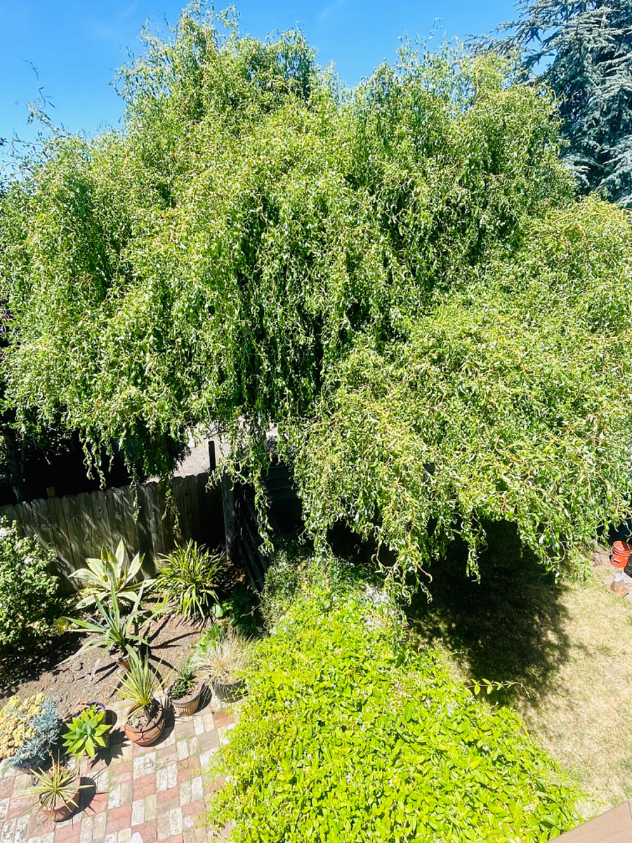 Furnished Finder property 694612_1 photo 21