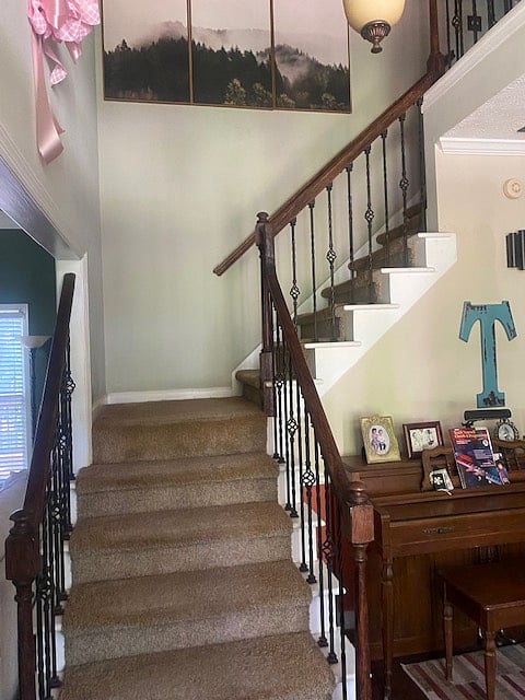 Furnished Finder property 694795_1 photo 5