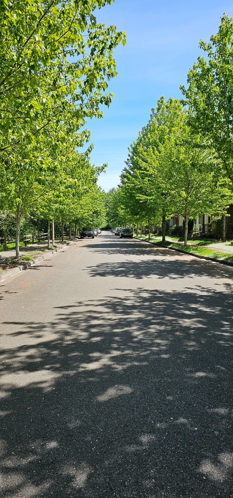 Neighborhood with walking trails