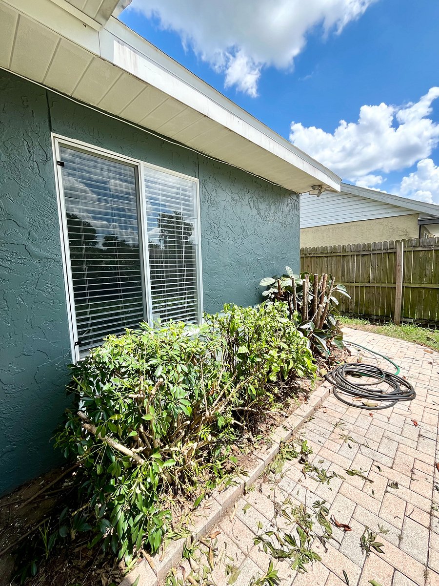 Furnished Finder property 695304_1 photo 52