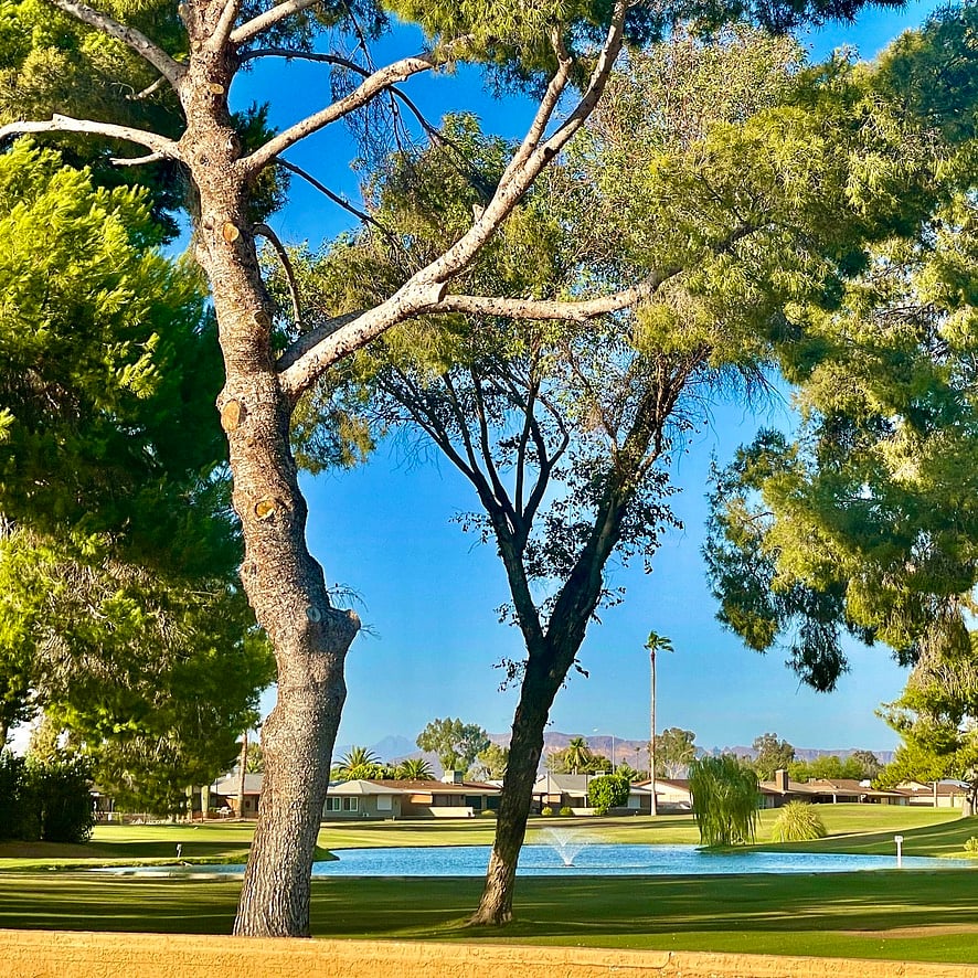 Golf Course!

