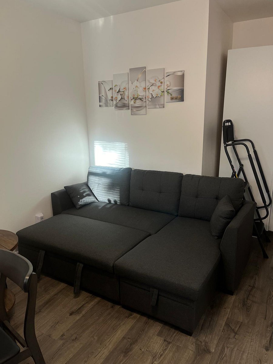 Sofa bed in living room. Also, ladder available for reaching cabinets.