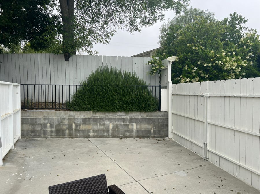 325 square feet backyard with privacy fence