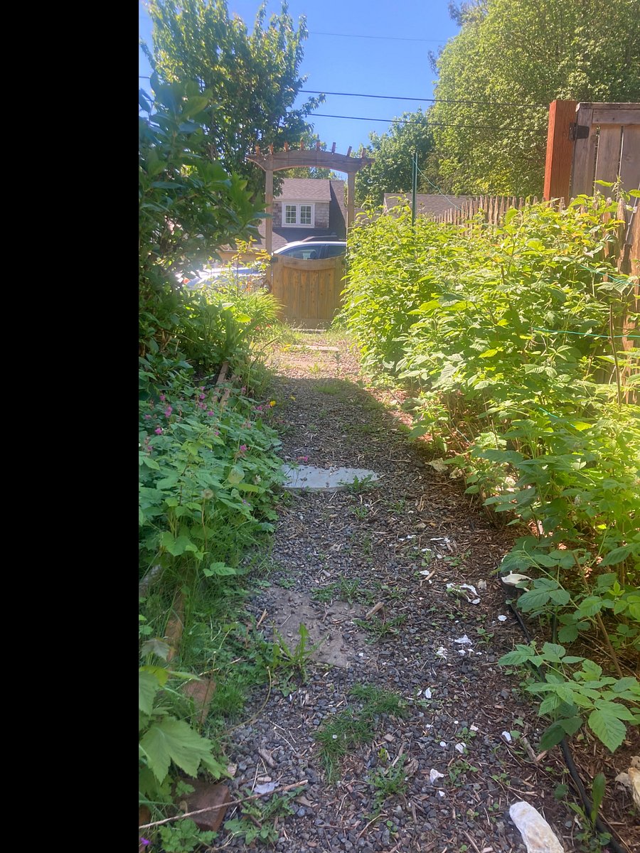 Garden path to apartment.