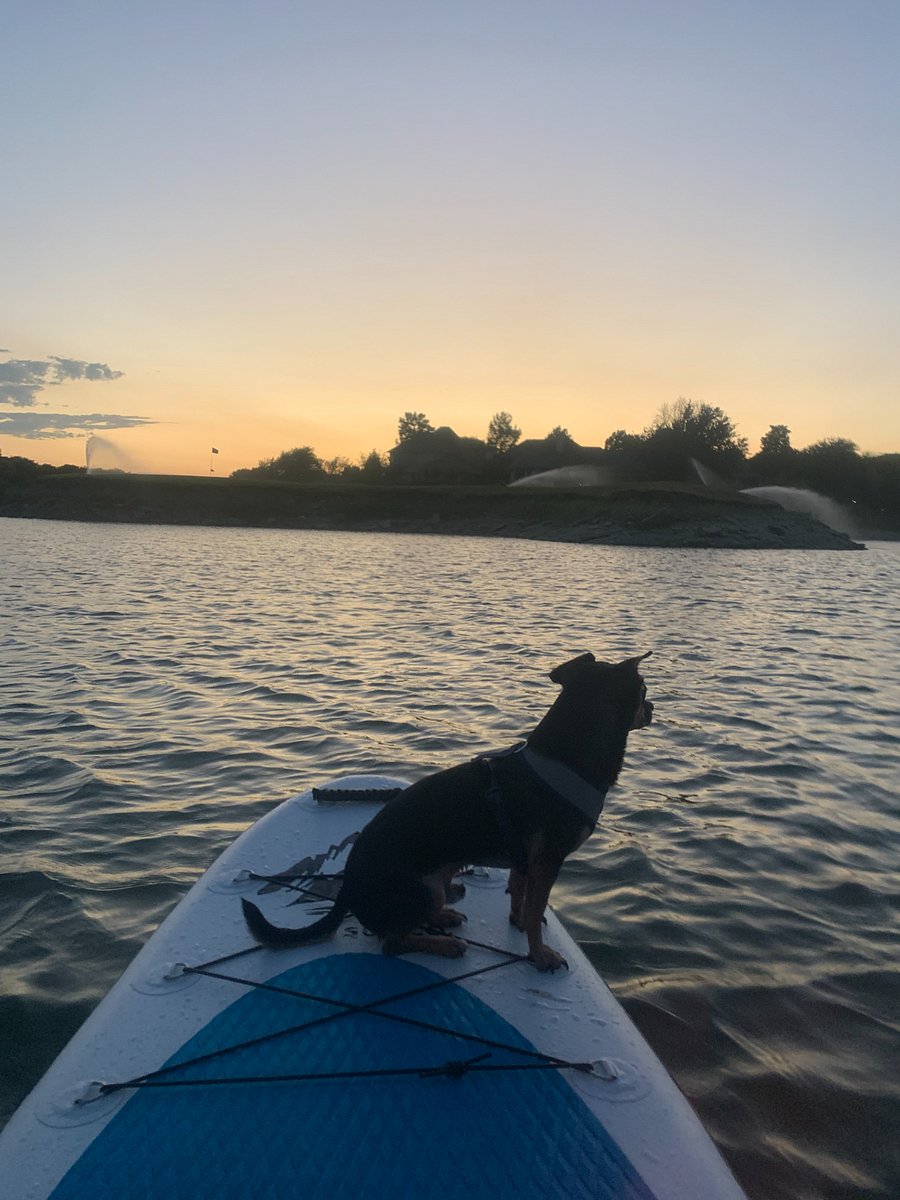 Paddle board of the golf course.