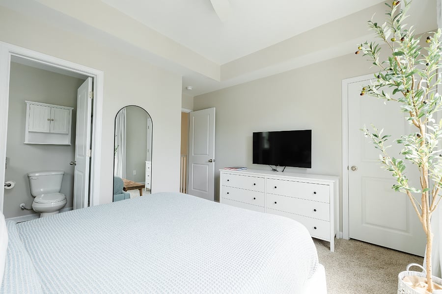 Low Country Theme Bedroom: View of 43" Roku Smart TV