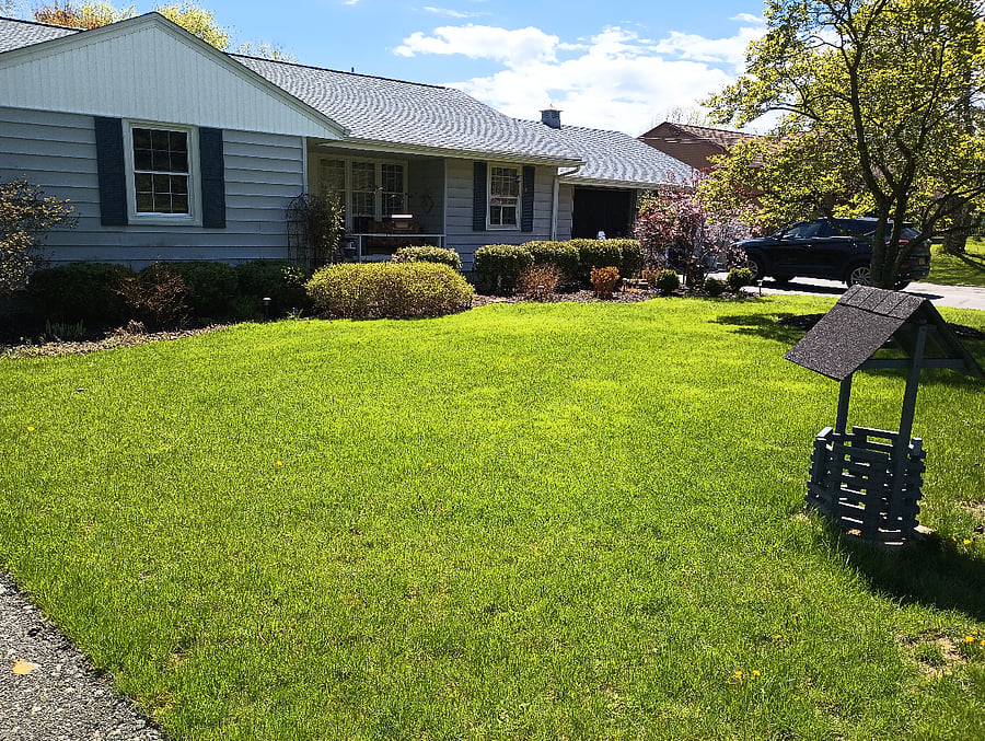 Furnished Finder property 696121_1 photo 11