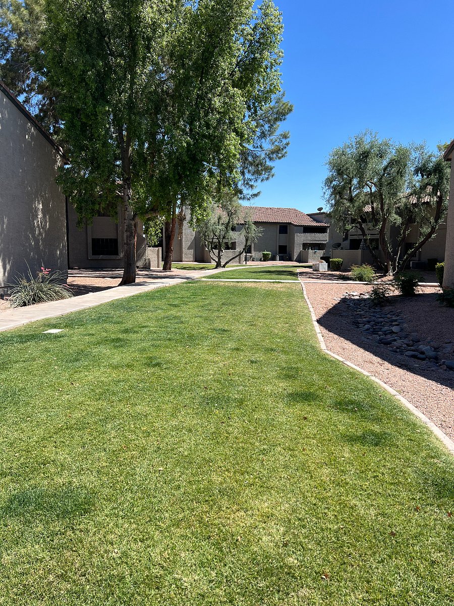 Furnished Finder property 696235_1 photo 25