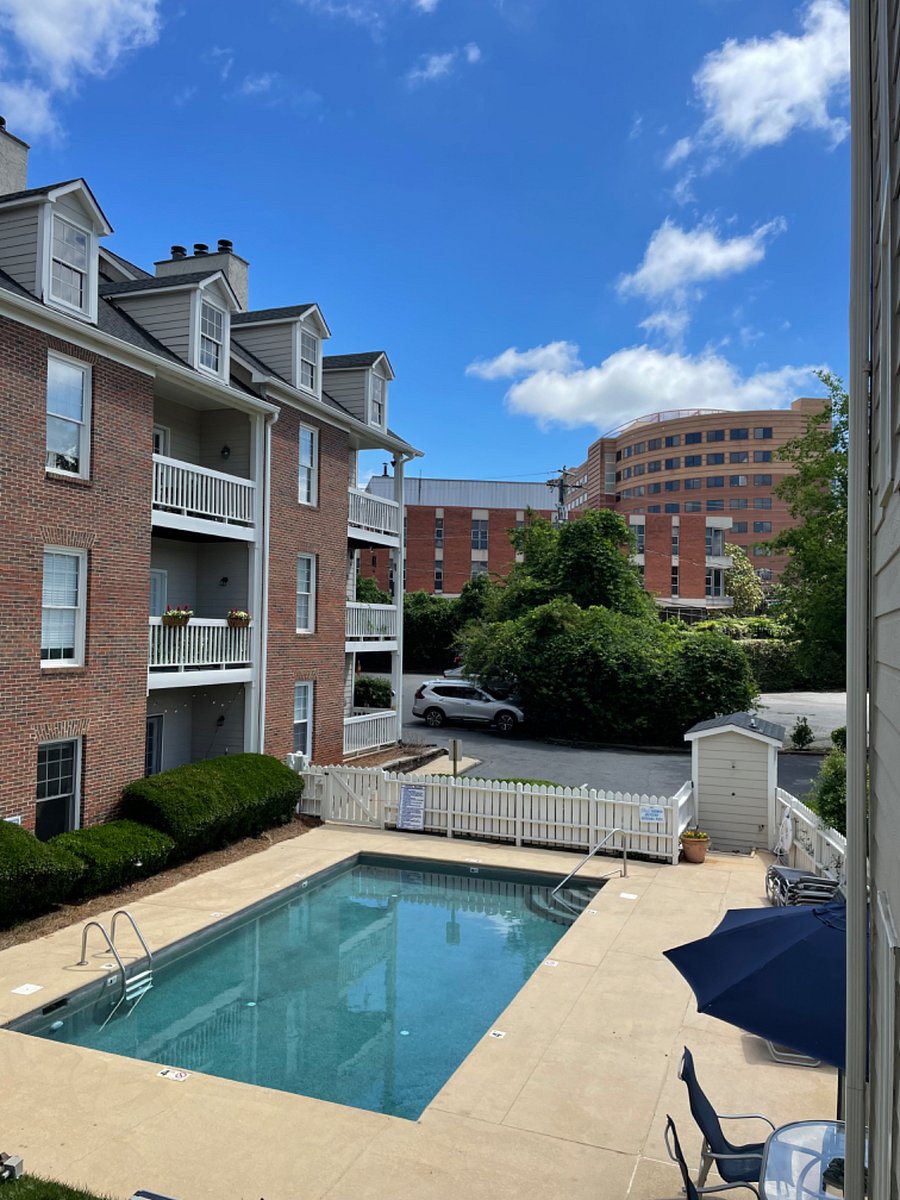 Gorgeous pool, max depth of 4 ft; ample seating options and a shared gas grill