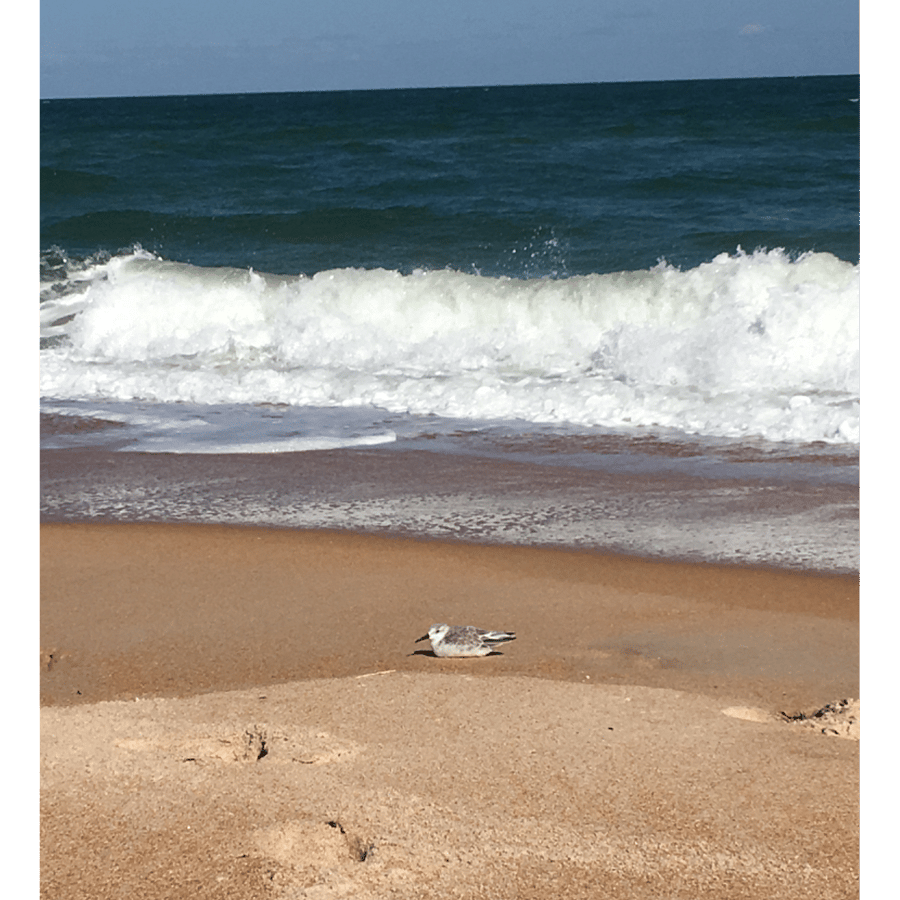 Private Beach Access (5-minute walk)
