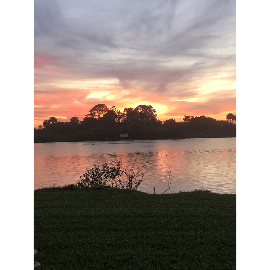 Backyard Intracoastal View