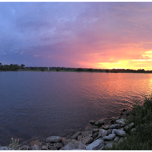 Backyard Intracoastal View