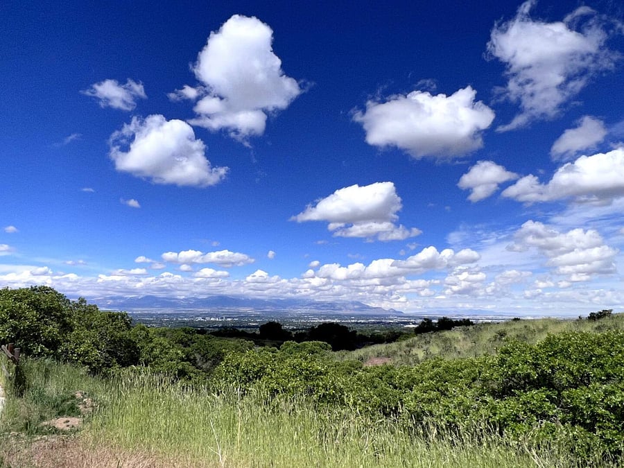 City View from Olympus Hills Park