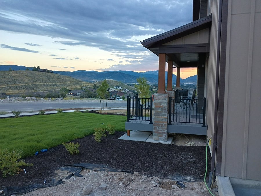 backyard view