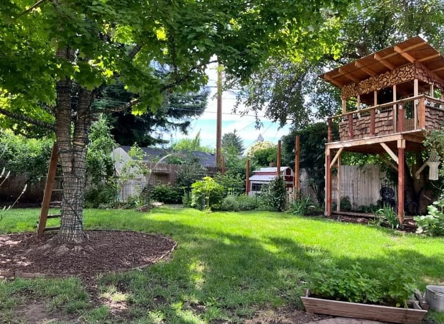Backyard