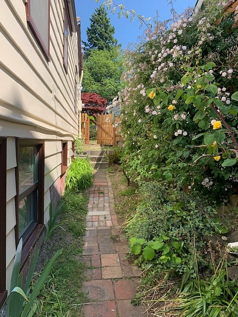 Your very private gated English Garden path outside south facing living room and kitchen windows. Access from front yard. Do not enter owners patio or backyard.
