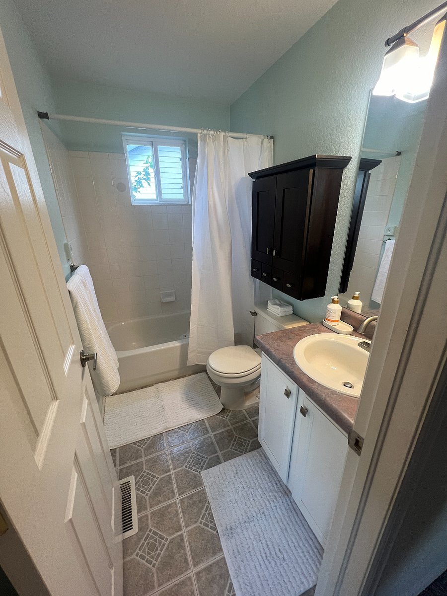 Primary bath 1
