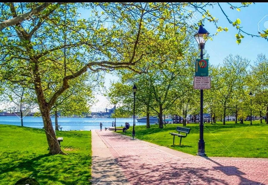 Canton Waterfront Park. 10min walk. Harbor Connector-free maritime transit service. Concerts.