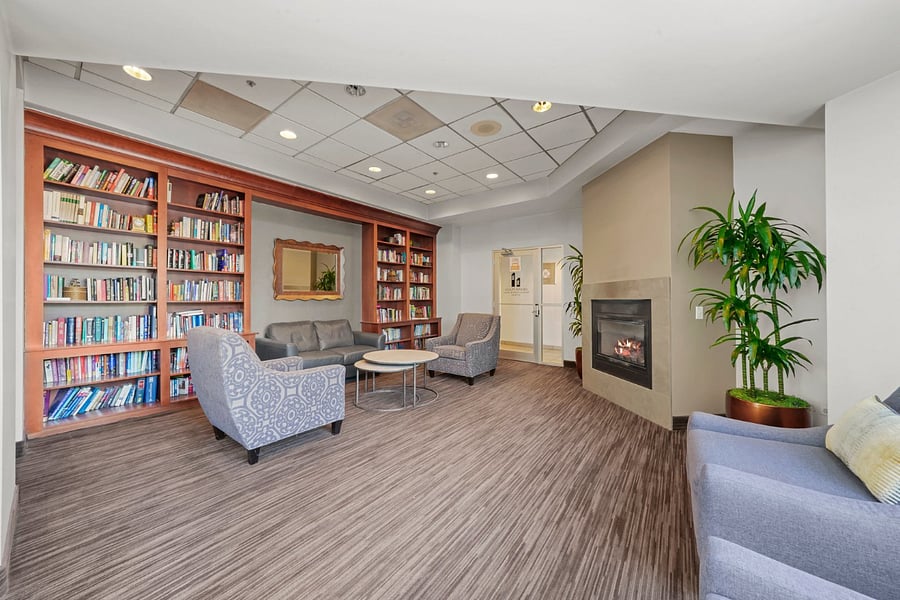 library and fireplace amenity