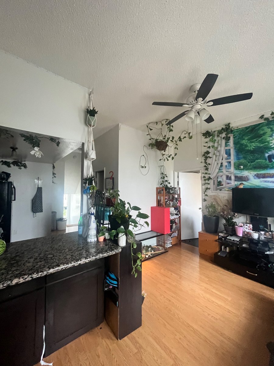 Furnished Finder property 698173_1 photo 5
