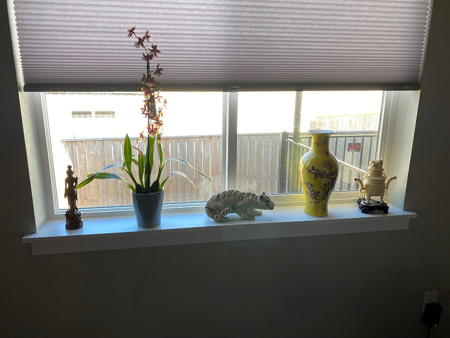 Furnished Finder property 698296_1 photo 18