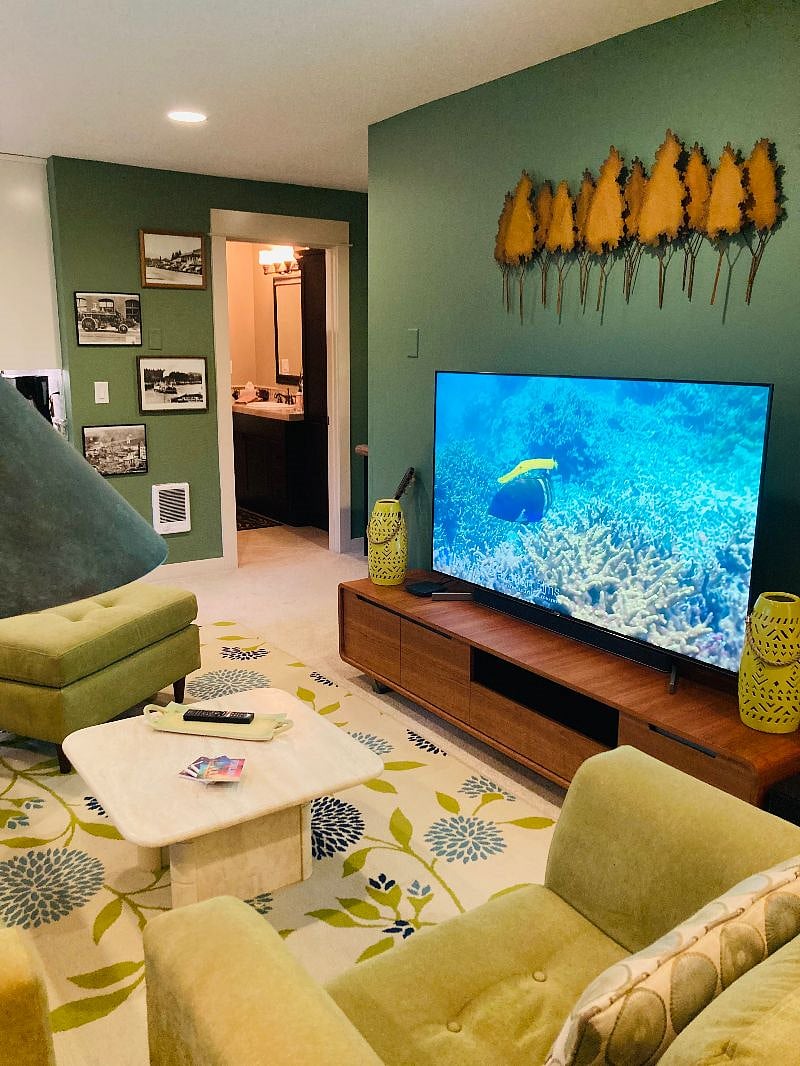High End Sony 65" TV with DVR and all of the streaming services free!