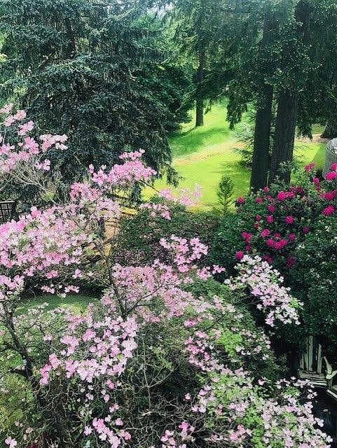 Connect with nature including deer and several species of birds!
