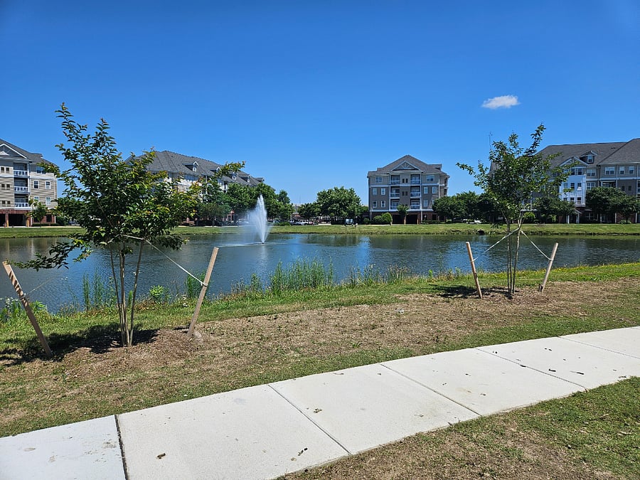 Furnished Finder property 699046_1 photo 15