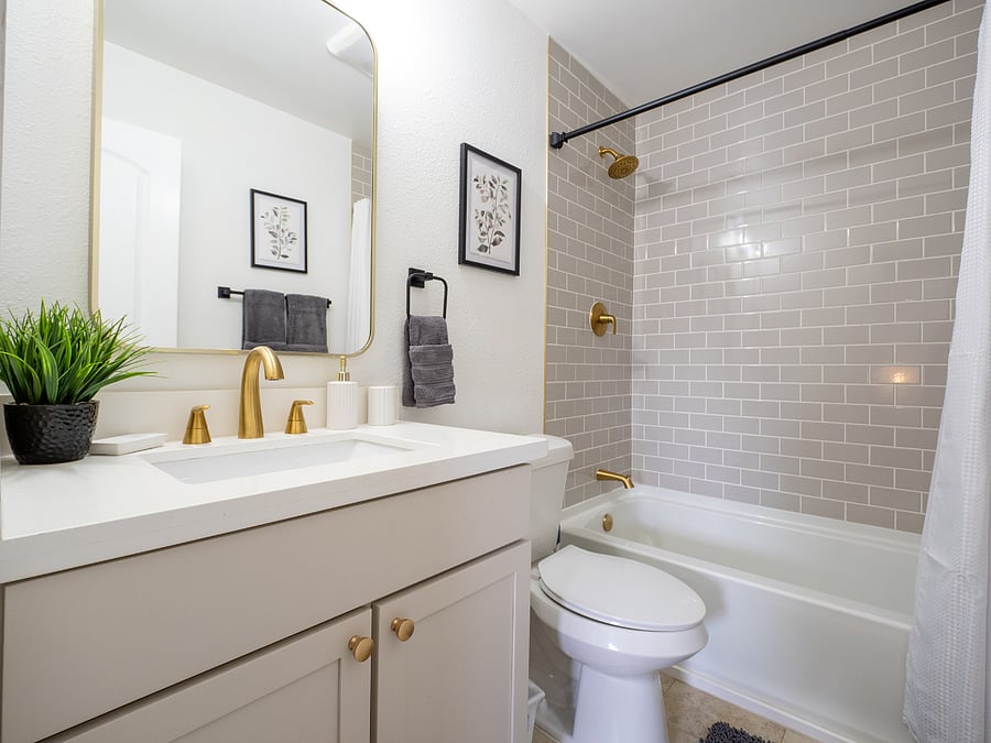 Furnished Finder property 699088_1 photo 12