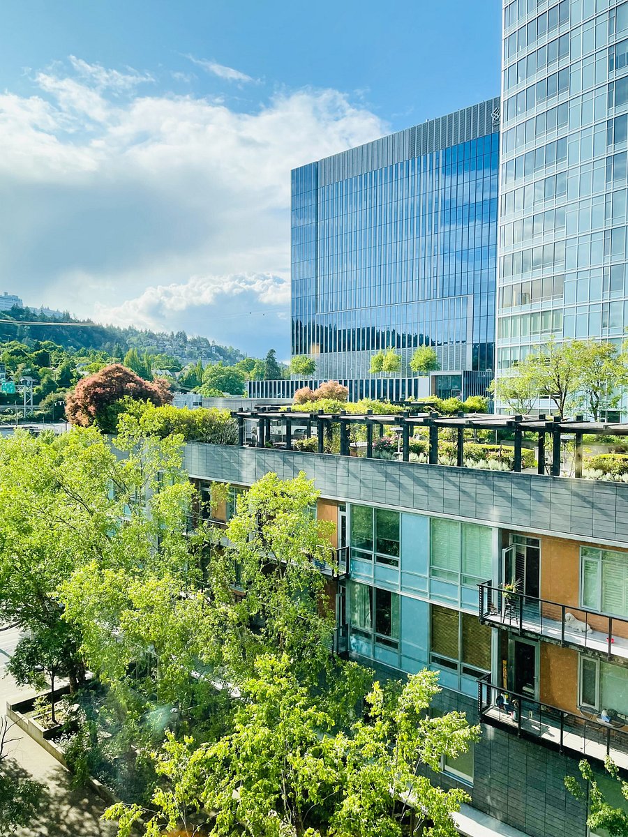 Unit looks out over neighboring building's rooftop terrace, providing greenery year-round