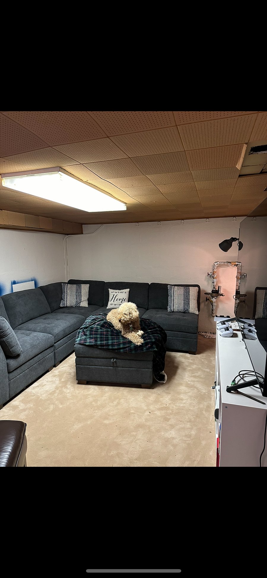 Furnished Finder property 699300_1 photo 11