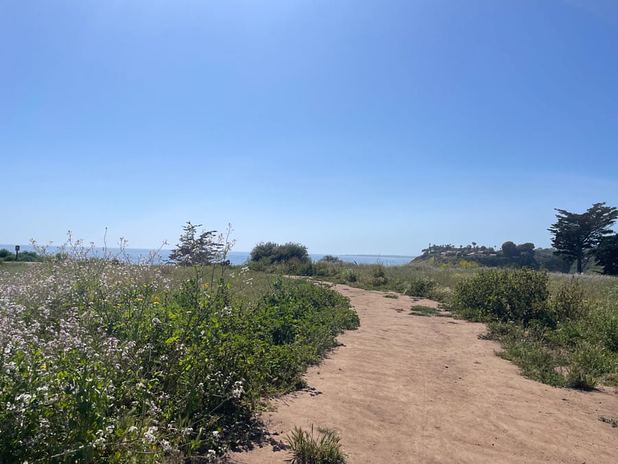 Walk from our house to the ocean in 30 minutes 